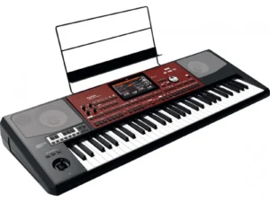 Korg Pa700 Oriental Keyboard
